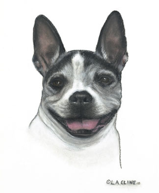 Pet Portraits: Treasure Your Companionship for Years to Come