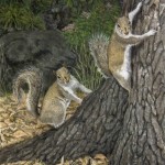 Two Squirrels Giclee Painting
