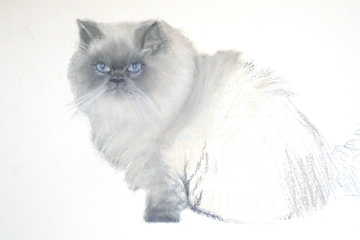 A Commissioned Pet Portrait Painting – Progress of the Pet Portrait of “Madison”.